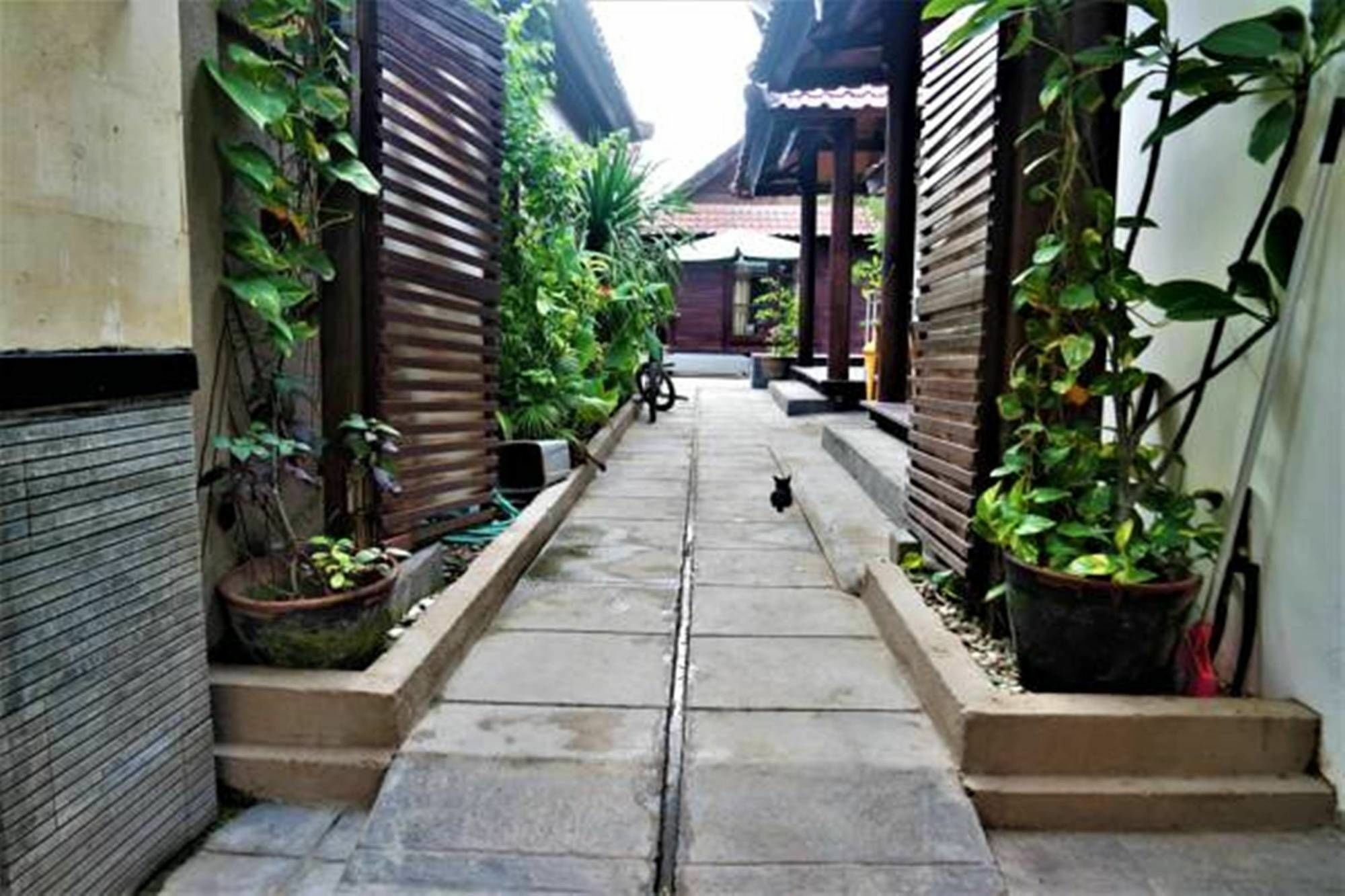 Drupadi Bungalows Gili Trawangan Exteriér fotografie